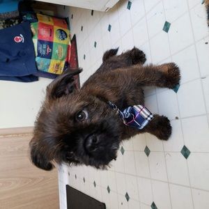 Meet your Posher, Jenna